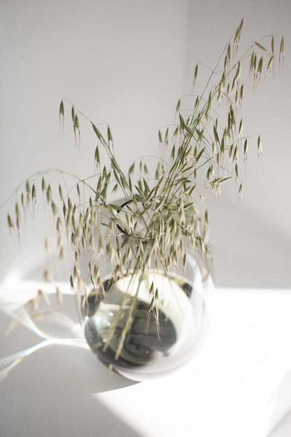 Zen Minimal Luxury Housing Tyros别墅 外观 照片