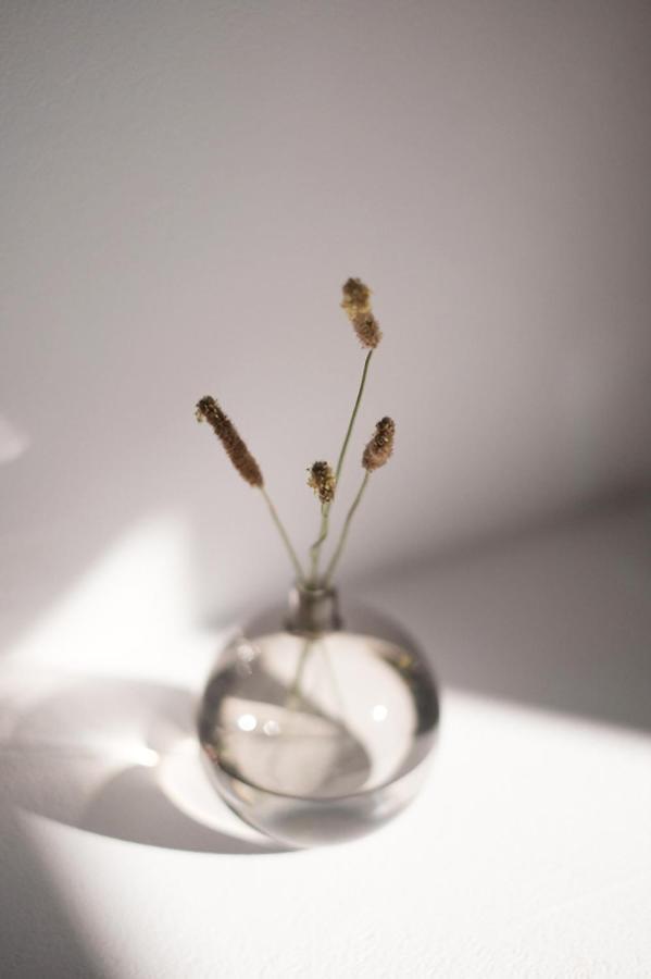 Zen Minimal Luxury Housing Tyros别墅 外观 照片