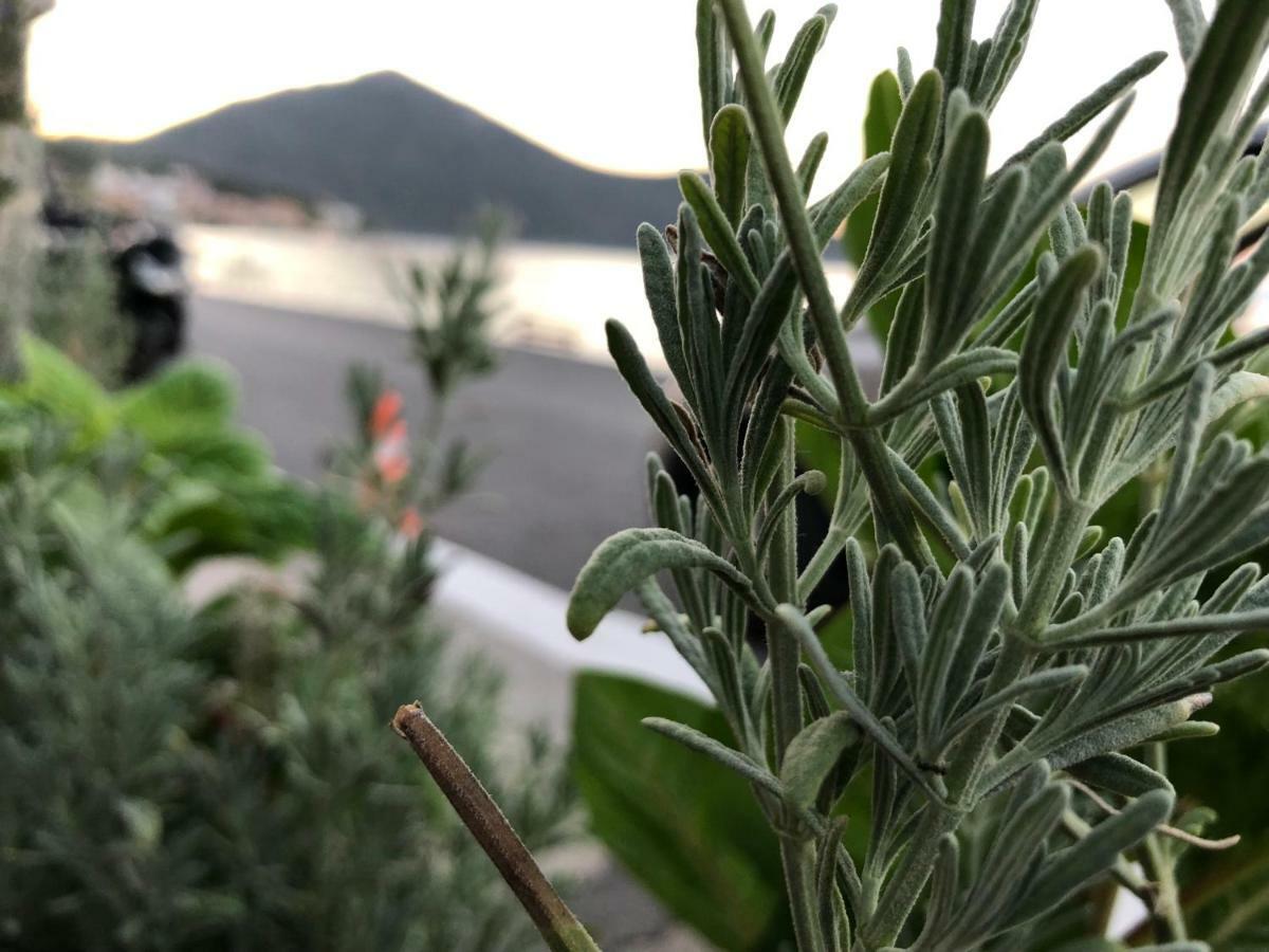 Zen Minimal Luxury Housing Tyros别墅 外观 照片